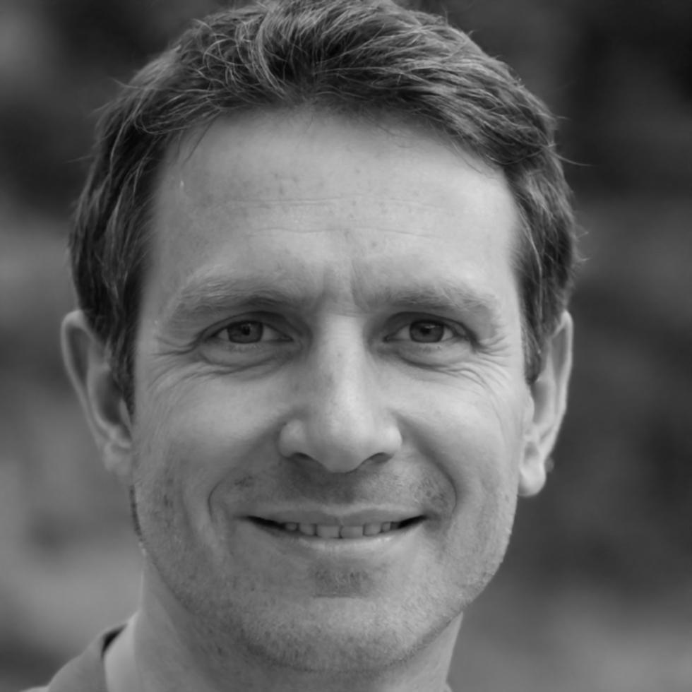 Benedikt Hallstrom, Senior Analyst